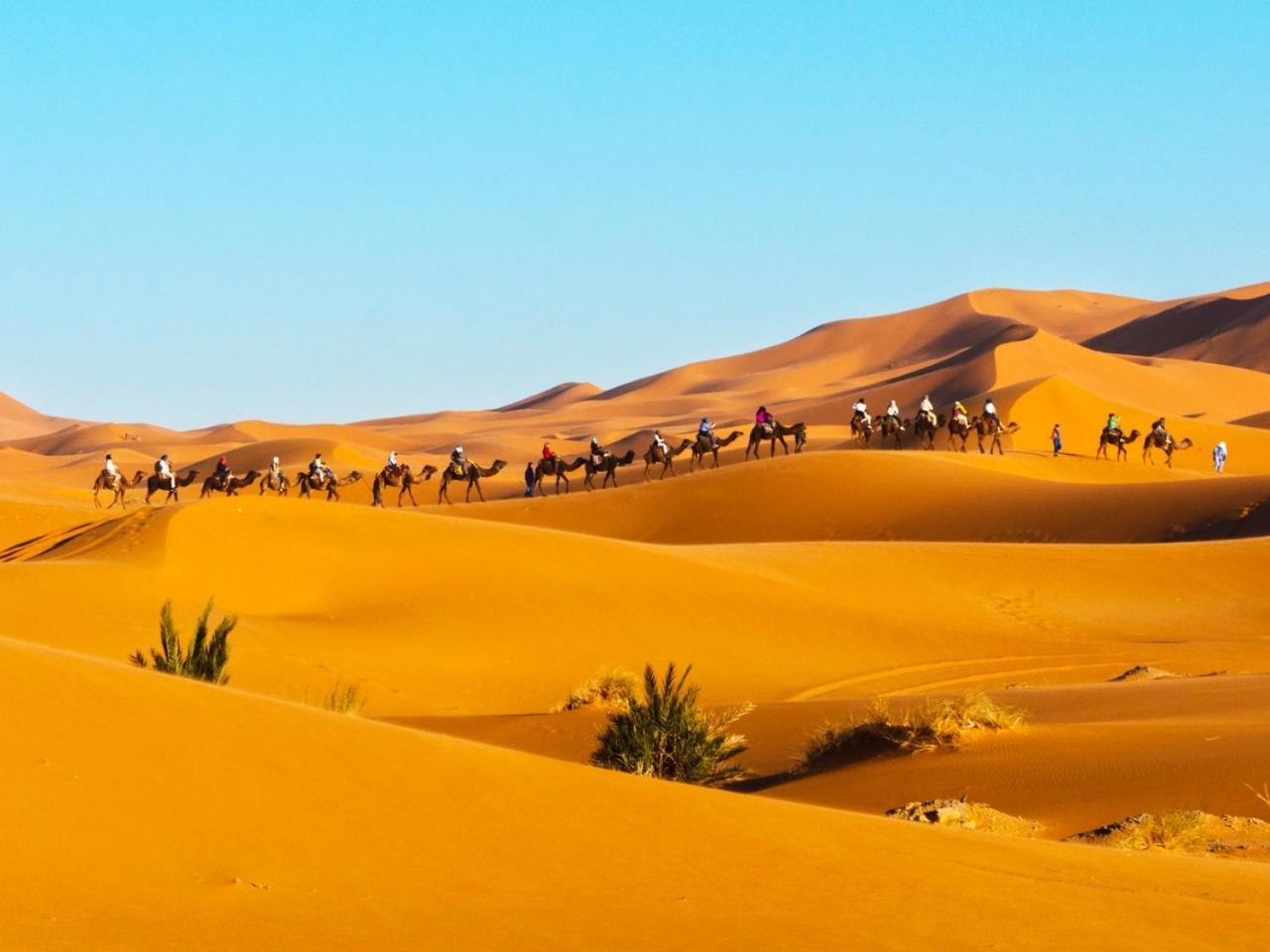 Berber Fire Luxury Camp Camping 4*
